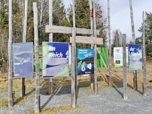 a15bfa3a-4473-4563-b7d9-96ce7c86063e