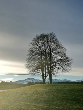 bb7bf12a-1a4d-443d-82e4-4532f3810c97