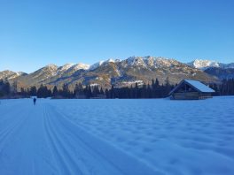 c0ec8849-3a7c-465d-967b-239e4f8ddd83