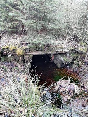 c9346a99-86e3-434c-874c-75f7519b2e67