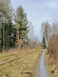 cd009b28-9753-47db-b7dd-a848e94a8cf2