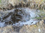 da7d687a-0b86-492a-80bc-3ad90782892d