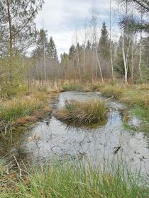 e0b383e6-ea5b-4281-821d-ee730f039bf2