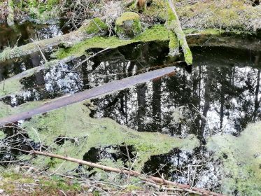 ec4a5e78-7417-4c2a-af0d-beb8146b5214