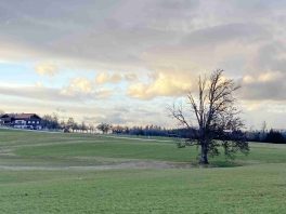 kl-IMG_4133 (00000002)