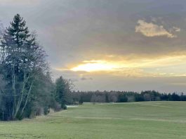 kl-IMG_4134 (00000002)