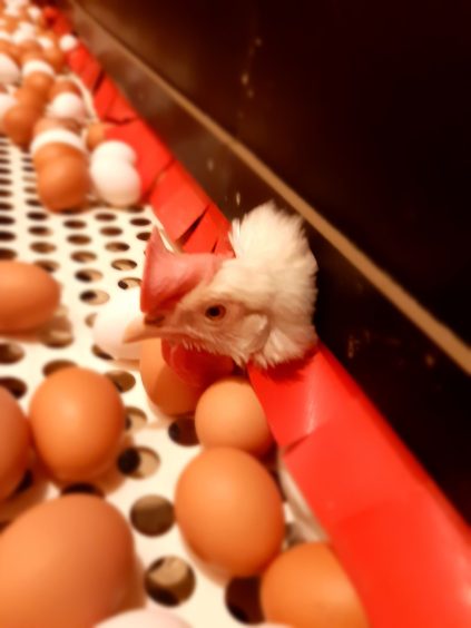 20220319_082534_resized