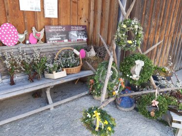 20220320_150339_resized