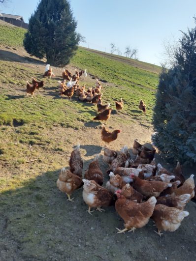 20220321_152254_resized