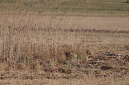 AktNatBeo-220327-ja-14_Raetsel_Zwei