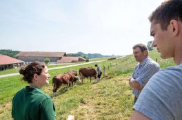 Berufsreportage (15)