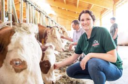 Berufsreportage (22)