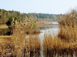 Mit dem E-Bike von Salzburg nach Prien