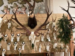 Jaegervereinigung (10)