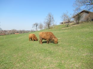 Mit dem E-Bike von Salzburg nach Prien