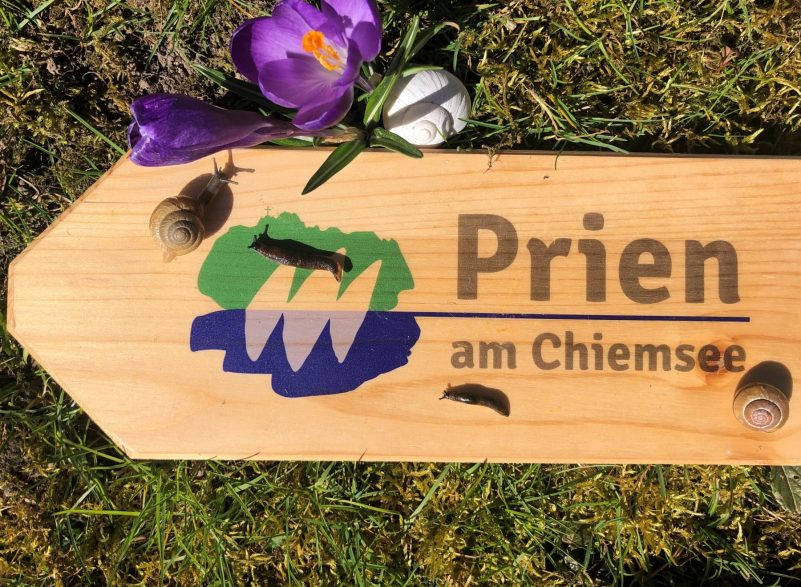 Schneckenwanderung_05_c-PriMa
