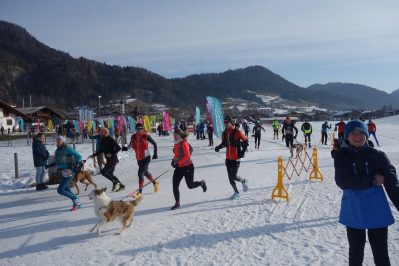 Start Gruppe mit Hund