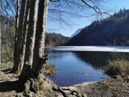 Wanderung Thierberger (2)