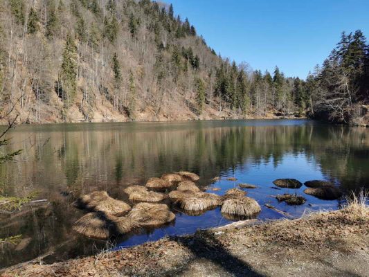 Wanderung Thierberger (3)