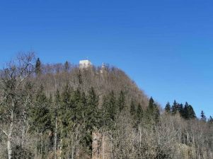 Wanderung Thierberger (6)