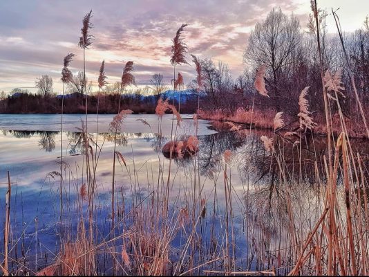 Wintertraeume Simssee (12)