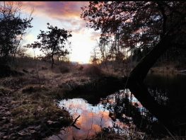 Wintertraeume Simssee (13)