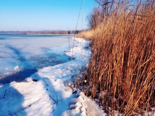 Wintertraeume Simssee (17)