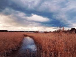 Wintertraeume Simssee (4)