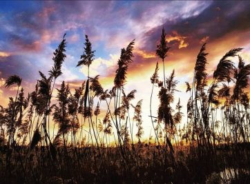 Wintertraeume Simssee (5)