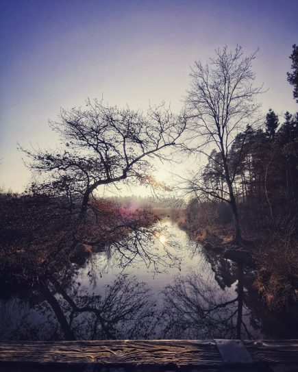 Wintertraeume Simssee (7)