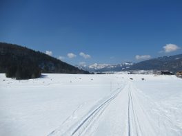 im Langlaufparadies Reit im Winkl