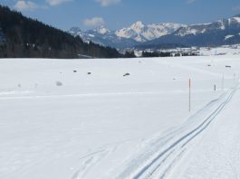 im Langlaufparadies Reit im Winkl