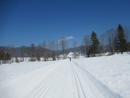 im Langlaufparadies Reit im Winkl