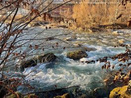 e249a370-ba8a-4f5b-9903-fb52a2a1575b