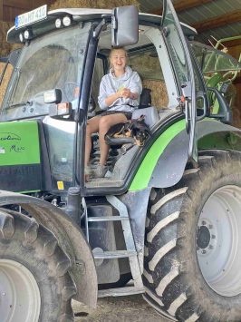 kl-1Amay auf dem Bulldog