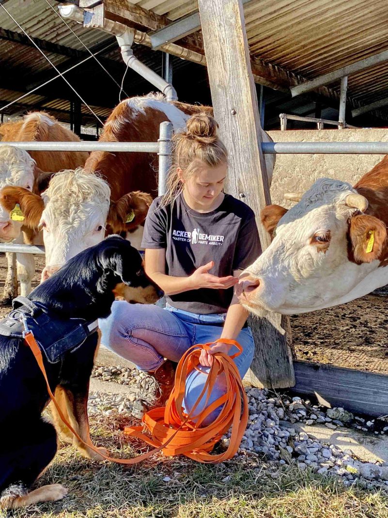 kl-1Amay mit Hund und Kuh