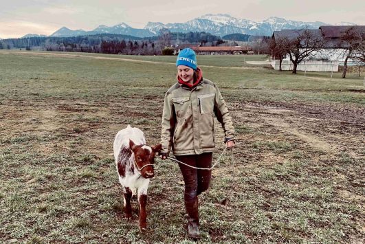 kl-1Amay mit Kalb beim Hanslhof