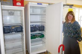 1Blöchinger - leere Kühlschränke