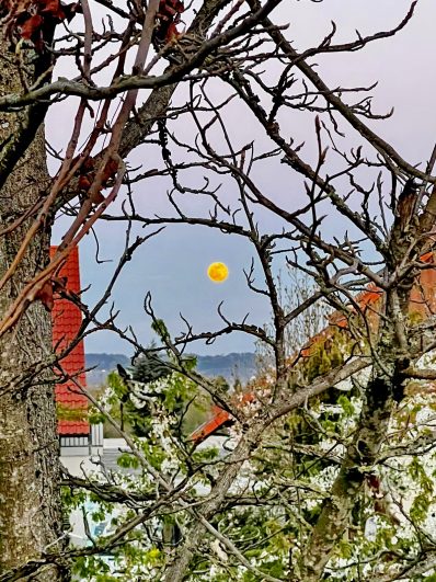 6f434024-60ea-4a39-90ba-a0a348c03129