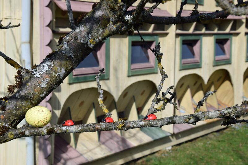 FLM_Glentleiten_Ostern_Käfer_Ei