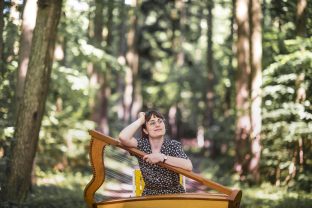 Harfenkursc)Daniela Matejschek