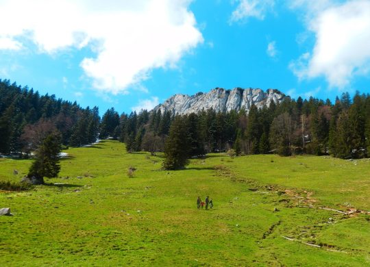 Bergtour von Samerberg auf den Heuberg