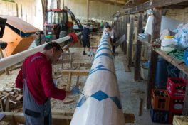 Maibaum-2014-1028644