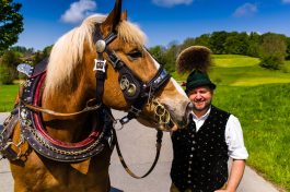 Maibaum-2014-1029354