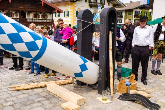 Maibaum-2014-1029762