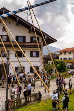 Maibaum-2014-1029768