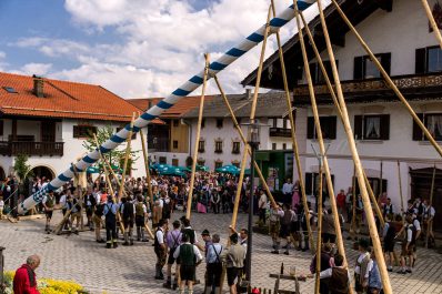 Maibaum-2014-1029771