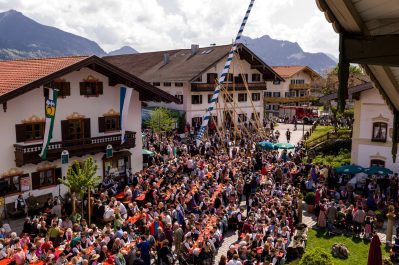 Maibaum-2014-1029819