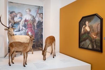 Mei Schatz is a Jaga(c)Jagdmuseum Stainz (2)