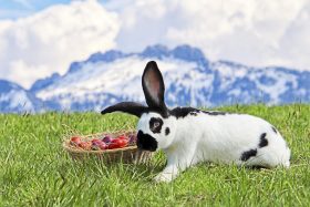 Ostern mit Kampenwand_Foto H. Reiter (1)